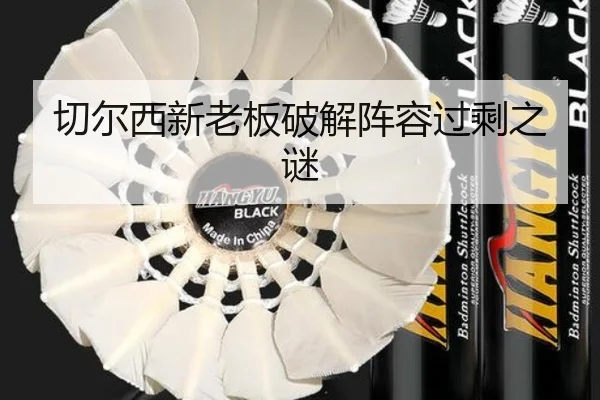切尔西新老板破解阵容过剩之谜